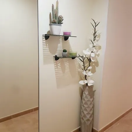 Elite * Puerto del Rosario (Fuerteventura)